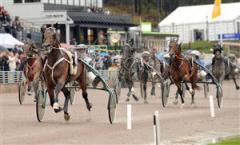 Maharajah och Örjan Kihlström vinner Svenskt Trav-Kriterium. Foto: Lars Jakobsson