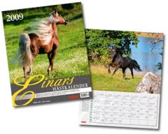einars_t_natet