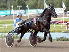 jarvsofaks_ck_090303_132358