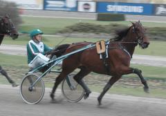Malte-1