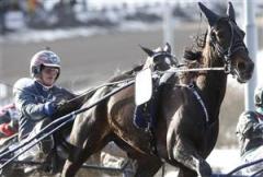 dig_for_dollars_mg_090514_163837