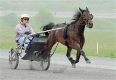 Buck I St Pat str&auml;cker ut i 1.07-fart &ouml;ver upploppet i det finslipande snabbjobbet inf&ouml;r resan till Solvalla. Foto: Tony Ryttar