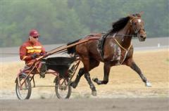 muscle-hill-2-lj_090806_15518