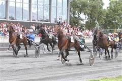 torvald_20palema_4t8j9191_100704_201423