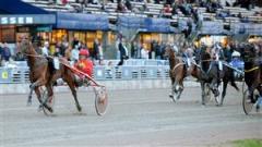 2-tamla-celeber-mal-lj_100922_193934