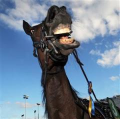 1-mathilde-trojborg-efter-segern-lj_101002_183711