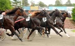 Travsporten tillförs ett stimulanspaket värt 39 miljoner kronor 2011. Foto: Lars Jakobsson