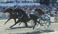 Jaded satte absoluta svenska rekordet när han vann Elitloppsförsöket 2009, Foto; ALN