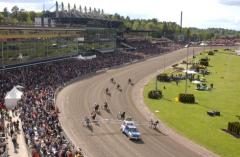 På söndag är det dags för årets travfest, Elitloppet på Solvalla.Foto av THOMAS BLOMQVIST