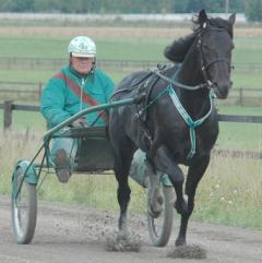 Panne-De-Moteur-120830-4