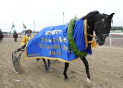 2012 års derbyvinnare Pato är tillbaka i Sverige.Foto av LARS JAKOBSSON
