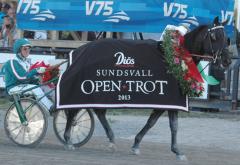 Panne De Moteur vann fem V75-segrar, en av dem var Sundsvall Open Trot. Foto; A.Lindblom/Travkompaniet