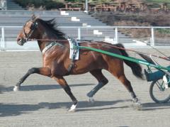 Foto: Annika Lindblom