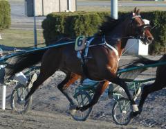 Trot_Kronos_150318-3