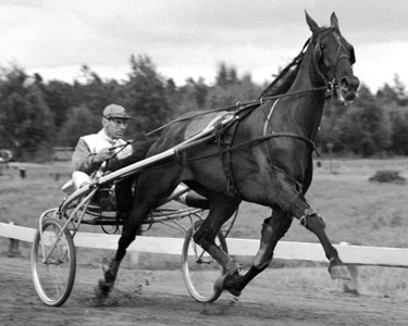 Frances Bulwark och Sören Nordin två av våra allra största legendarer..