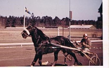 52 år sedan. 1963 Gävletravet. Hästen heter Viscount och undertecknad i vagnen..