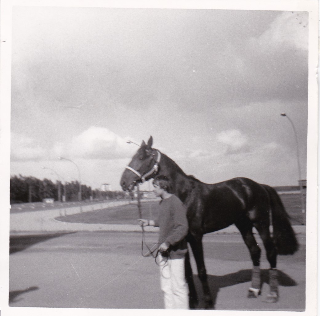  Författaren 1965 på Gävletravet. Hästen heter Marco Polo e Rebell-Joetta.