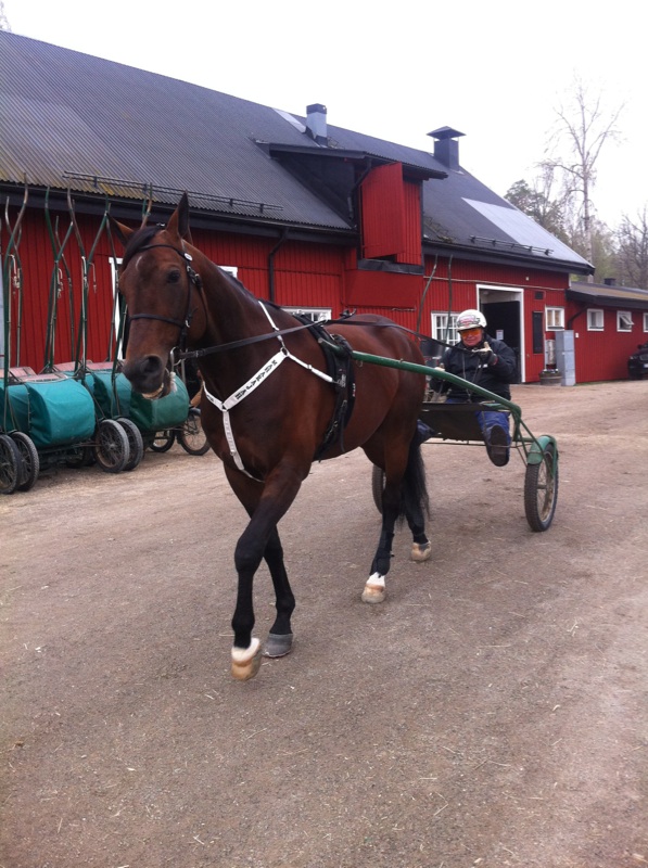 Mitt största minne från Yttersta. Bland massor. Från Maj 2013 när jag fick förtroendet att köra Maharajahs finslipande sista rakbanejobb inför Oslo GP.