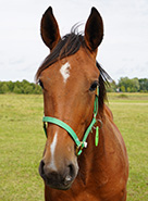246